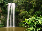 Millaa Millaa Falls