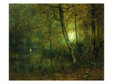 Pool in the Woods