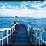 Buy Pier and Dolphins at AllPosters.com
