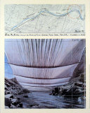 Buy Arkansas River from Underneath at AllPosters.com