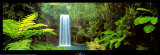 Millaa Millaa Falls, Queensland, Australia
