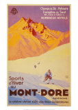 Champs de Ski