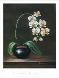 Good as Gold Orchid