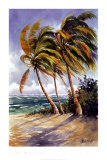 Buy Sailing Day at AllPosters.com
