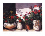 Buy Pots of Geraniums at AllPosters.com