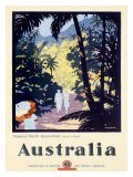 Australia Queensland Rain Forest