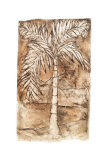 Palm Mirage I