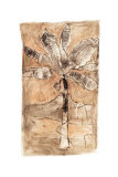 Palm Mirage II