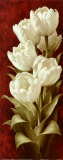 Magnificent Tulips II