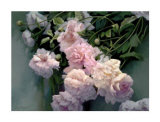 Buy Heritage Roses at AllPosters.com