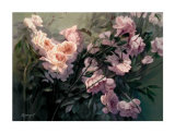 Buy Roses at AllPosters.com