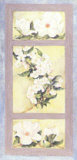 Buy Magnolia and Cherry Blossom at AllPosters.com