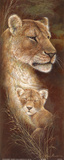 Buy Proud Mother at AllPosters.com