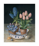 Tulip and Crocus II