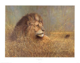 Buy Majestic Beauty at AllPosters.com