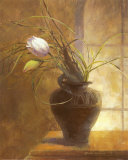 Tulip Simplicity