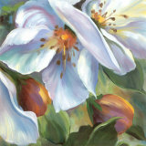 More Petals II