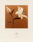 Buy Lily at AllPosters.com