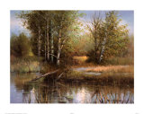 Buy The Bike Path at AllPosters.com