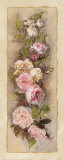 Buy Rose Garland I at AllPosters.com