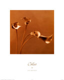 Buy Callas at AllPosters.com