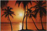 Buy Caribean Sunset at AllPosters.com
