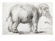 Buy at Art.com