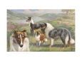 Buy at Art.com