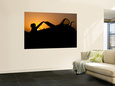 Buy at Art.com