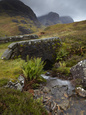 Buy at Art.com
