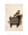 Fabritius, Care...