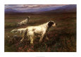 Earl, Maud