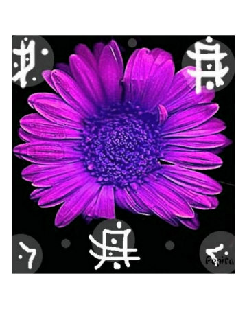 Japanese Flower Giclee Print zoom view in room