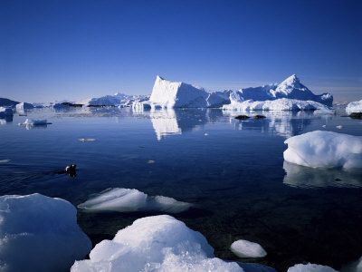 Ice Scenery and Seal Antarctica Polar Regions Photographic Print