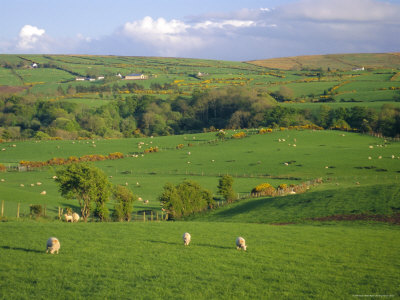 Farming Countryside, County