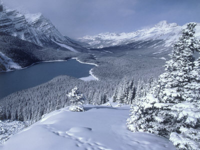 Winter Snow Covering Mts and