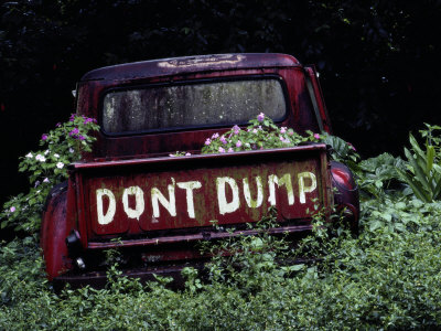 An Abandoned Vehicle Ironically Bears a Sign Warning against Dumping 