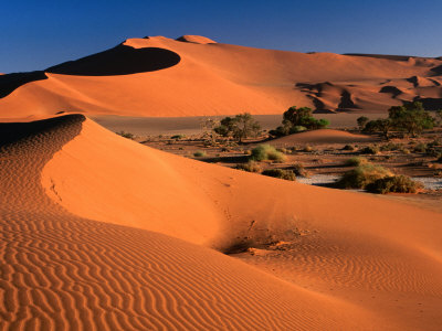 Namib Sand Dunes Nambia Desert Park Namib Desert Park Erongo 