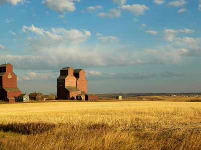 Grain Elevators Stand in a Prairie Ghost Town Rowley Alberta Canada 