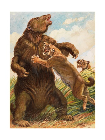 Slow Megatherium Was No Match for the Saber Tooth Tiger Photographic Print