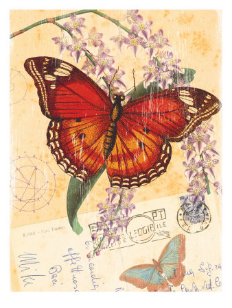  MARIPOSAS PARA DECOUPAGE