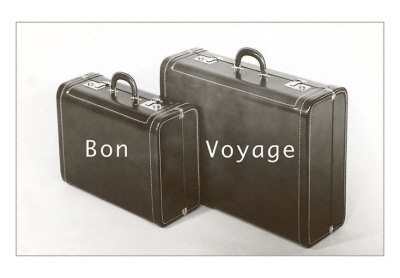 suitcases-bon-voyage.jpg