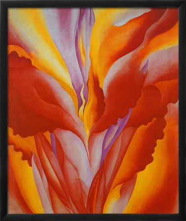 Red Canna Framed Print Red Canna Framed Print