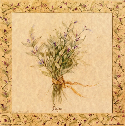 Sage Print Sage Print