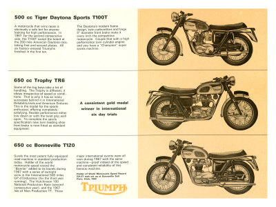 Triumph Bonneville at Daytona Giclee Print Triumph Bonneville at Daytona Giclee Print