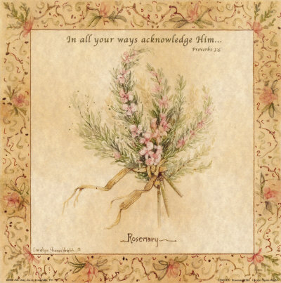 Rosemary Print Rosemary Print