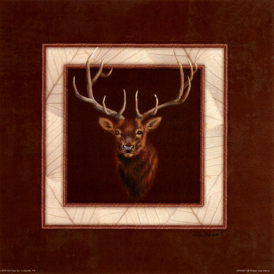 Elk Portrait Print Elk Portrait Print