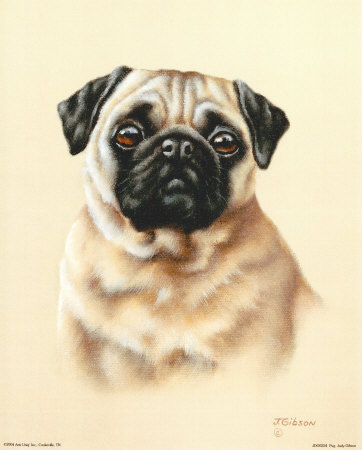Pug Print Pug Print