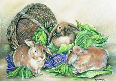 A Hare's Treasure Print A Hare's Treasure Print