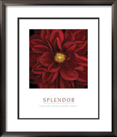 Splendor Framed Print Splendor Framed Print